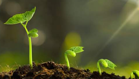 環(huán)境檢測 環(huán)境檢測